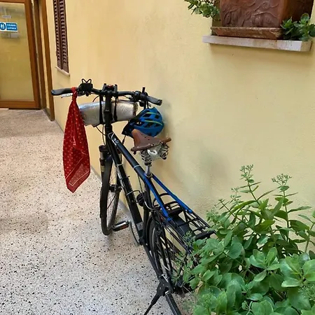 Отель Umbria 2*